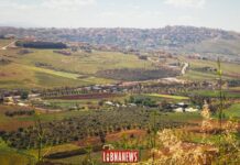 La ville de Khiam vue depuis Marjayoun. Crédit Photo: François el Bacha pour Libnanews.com