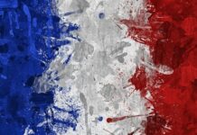 France – Radioscopie : De la fonction d’un binational dans une société occidentale 5/5