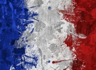 France – Radioscopie : De la fonction d’un binational dans une société occidentale 5/5
