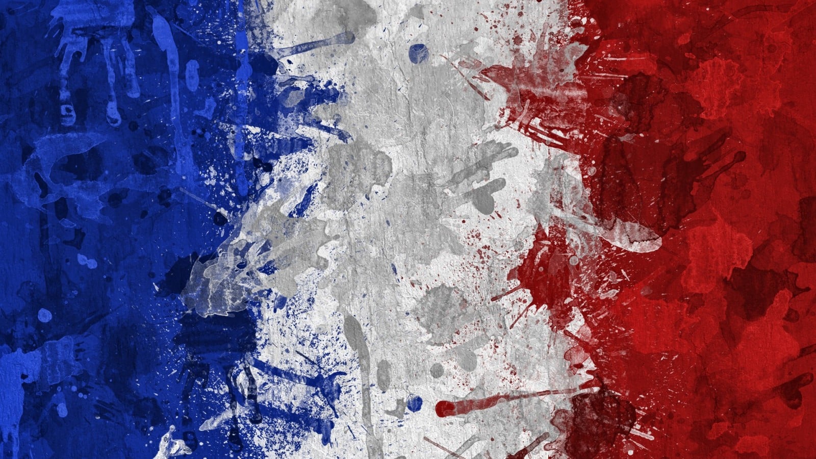 France – Radioscopie : De la fonction d’un binational dans une société occidentale 5/5