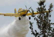 Incendie du Chouf: Chypre répond à l'appel à l'aide du Liban
