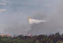 Liban: Le front des incendies se stabilise alors que la pluie tombe du ciel