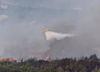 Liban: Le front des incendies se stabilise alors que la pluie tombe du ciel