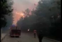Capture d'écran de l'incendie qui ravage ce lundi le Chouf.