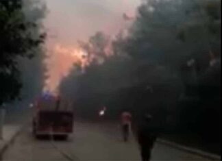 Capture d'écran de l'incendie qui ravage ce lundi le Chouf.