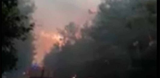 Capture d'écran de l'incendie qui ravage ce lundi le Chouf.