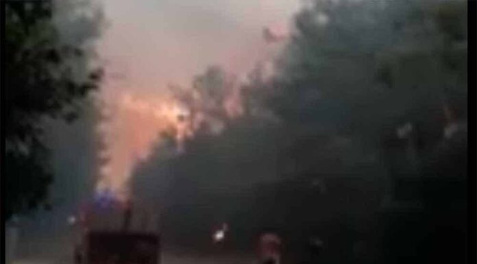 Capture d'écran de l'incendie qui ravage ce lundi le Chouf.