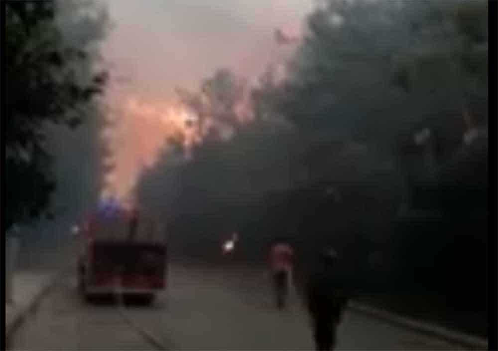 Capture d'écran de l'incendie qui ravage ce lundi le Chouf.