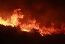 Liban: Reprise des incendies ce mercredi dans le Chouf