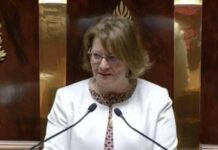 Le bicamérisme pour refonder le Liban ? Nadia Essayan