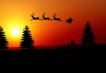 Lettre du Liban au Père Noël !