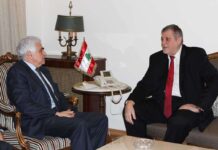 Liban: La résolution 1701 et la crise économique, au coeur des premières audiences du Ministre des AF