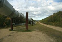 Vers le début de l'importation de gaz égyptien, début de l'année prochaine (Al Joumhouria)