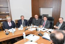 What to think of the Ghada Aoun affair?