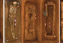 Pratiques funéraires et identités biologiques à Berytus (Beyrouth) et à Botrys (Batroun) à l’époque romaine (Liban, Ier siècle av. J.-C. – IVème siècle apr. J.-C.)
