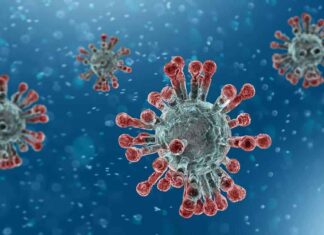 Coronavirus: 4 nouveaux cas déclarés, 32 cas au Liban