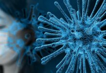 Il y a 10 ans, un virus proche du SARS-Cov-2 circulait déjà au Cambodge Il y a 10 ans, un virus proche du SARS-Cov-2 circulait déjà au Cambodge
