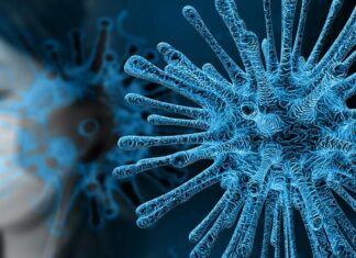 Coronavirus: 6 nouveaux cas déclarés au Liban