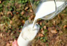 Le Lait Maternisé en voie d'être subventionné par la Banque du Liban