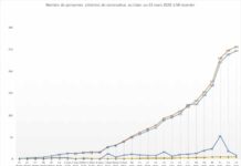 Coronavirus: 256 cas au Liban à mi-Journée ce lundi