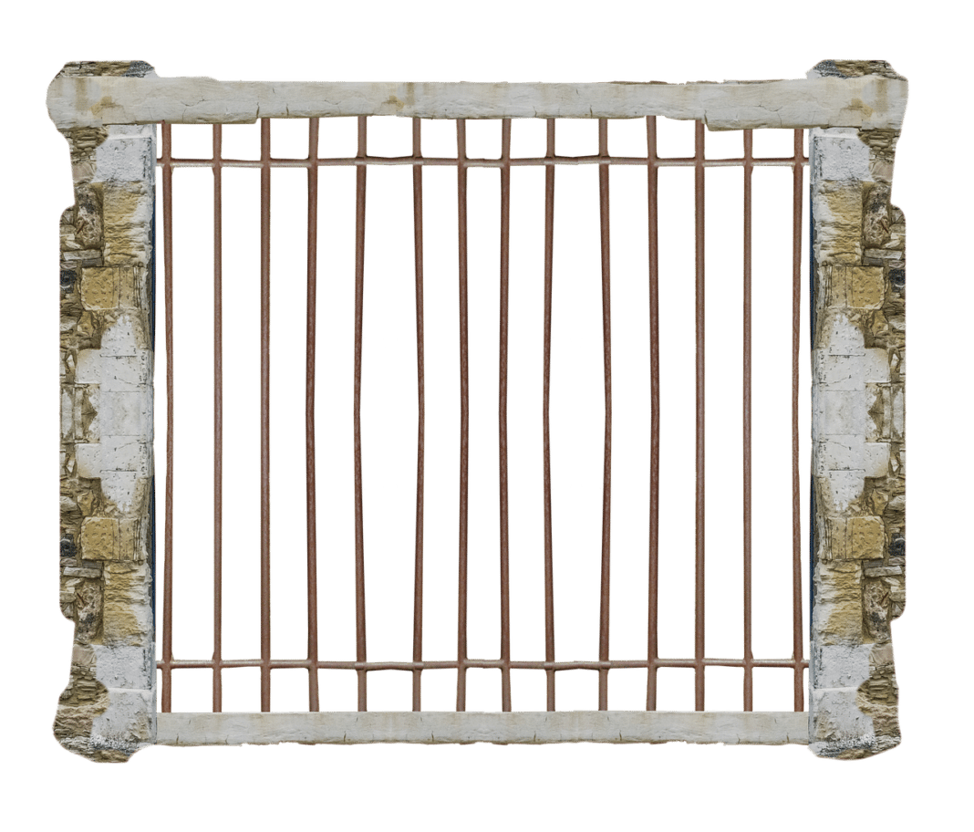 Les bonnes pratiques pour éviter de contaminer vos compagnons de confinement