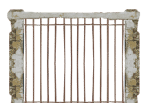 Les bonnes pratiques pour éviter de contaminer vos compagnons de confinement