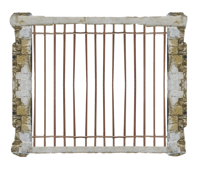 Les bonnes pratiques pour éviter de contaminer vos compagnons de confinement