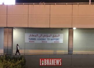 Liban: La diaspora, un des facteurs ayant contribué bien malgré elle, à la crise financière et économique actuelle