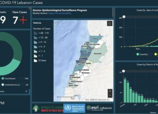 Coronavirus/Liban: le bilan passe à 548 personnes infectées