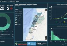 Coronavirus/Liban: Seulement 2 cas découverts ce lundi, vers peut-être un plateau?