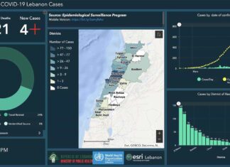 Coronavirus/Liban: 677 cas