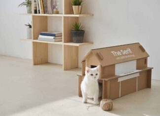 Samsung présentera un «emballage écologique» pour sa gamme de téléviseurs Lifestyle