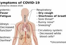 Occident - Gestion médiocre et tardive de la crise du Coronavirus (*). L'heure devrait être à un dépistage massif et obligatoire.