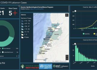 Coronavirus/Liban: 668 cas au Liban