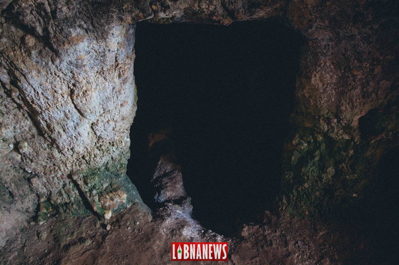 Libnanews