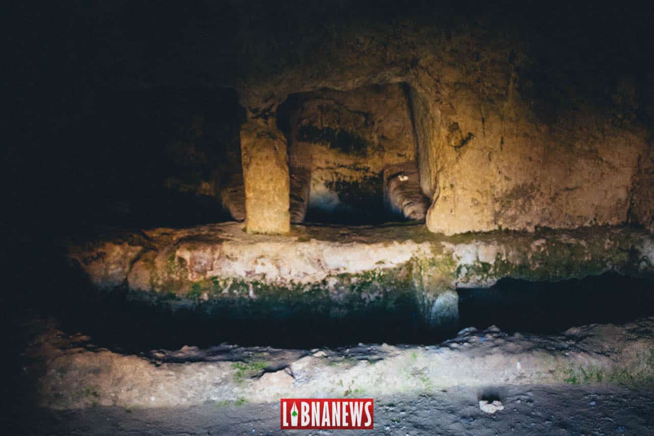 Libnanews