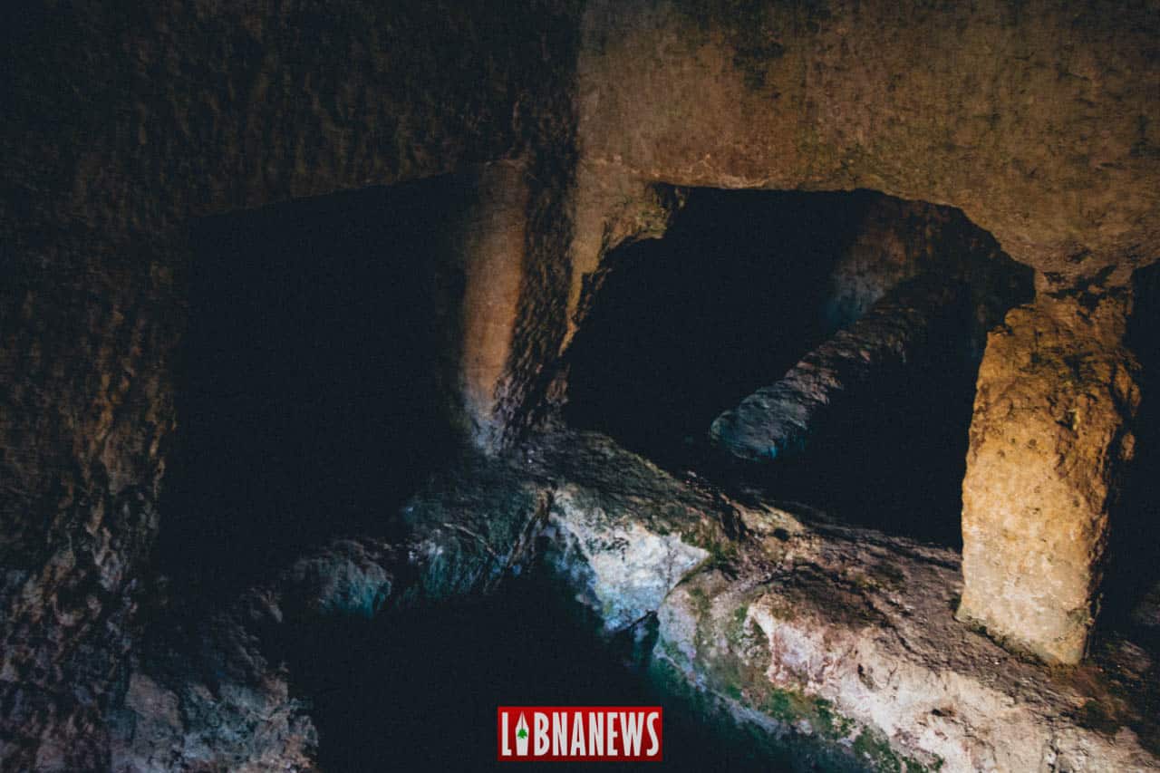 Libnanews