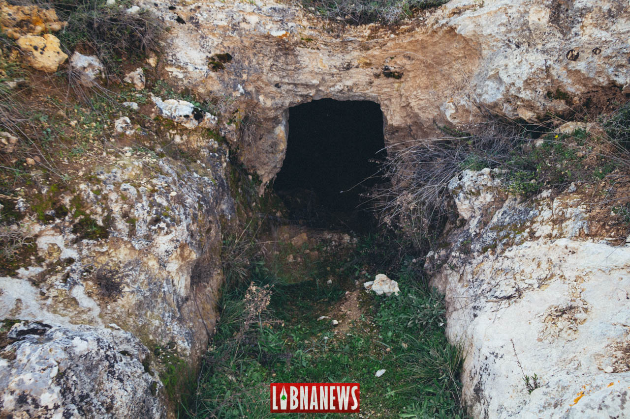 Libnanews