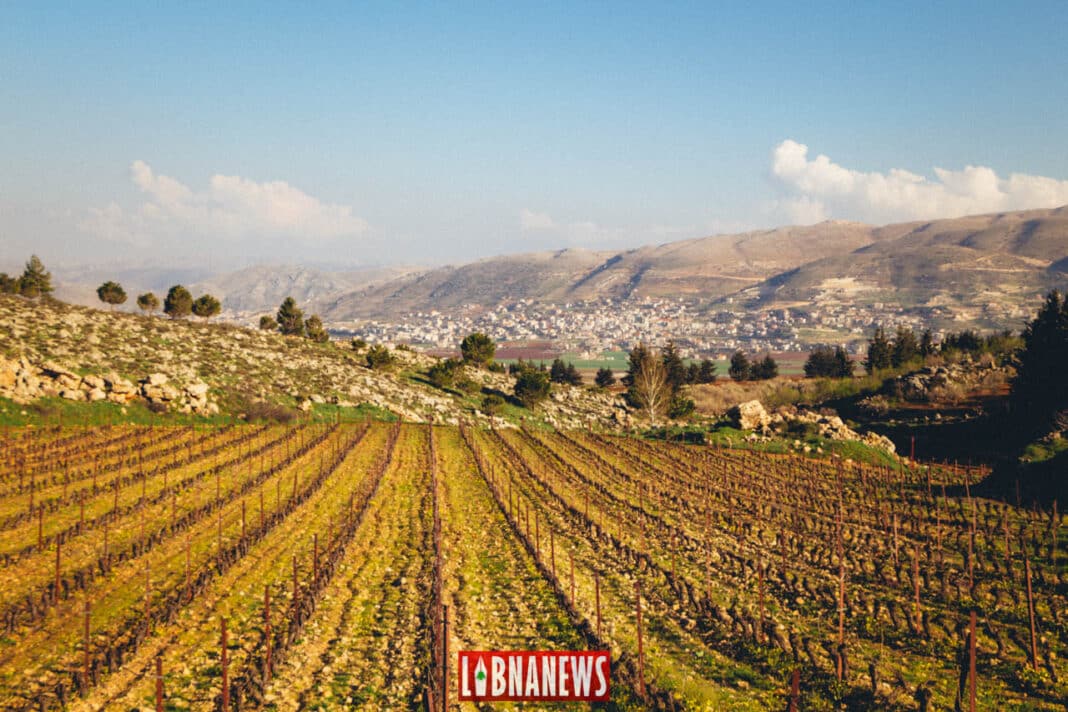 Une économie qui brille à l’étranger : les produits libanais séduisent le monde