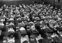 1957, 1968 : que nous enseignent les précédents pics pandémiques grippaux ?
