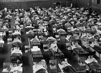 1957, 1968 : que nous enseignent les précédents pics pandémiques grippaux ?