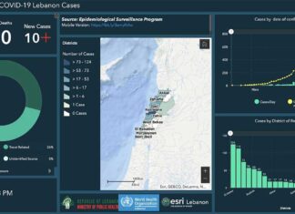 Coronavirus: 619 cas désormais comptabilisés