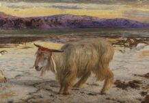 The Scapegoat (Le Bouc émissaire), tableau de William Holman Hunt, 1854-1856