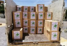 Des ailes pour une entraide franco-libanaise