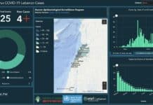 Coronavirus/Liban: 737 cas dénombrés