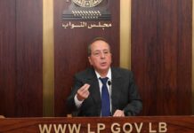 Le député Jamil Sayyed. Crédit Photo: Parlement Libanais