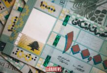 Des livres libanaises. Crédit Photo: François el Bacha pour Libnanews.com