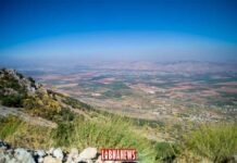 Un important silo à blé « découvert » dans la Békaa par le ministère de l’économie