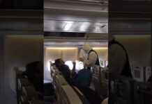 Fawda à bord d'un avion de la MEA en provenance de Londres