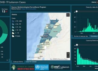 Coronavirus/Liban: 13 nouveaux en en 24 heures
